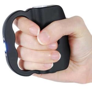 The Talon Flashlight Stun Gun